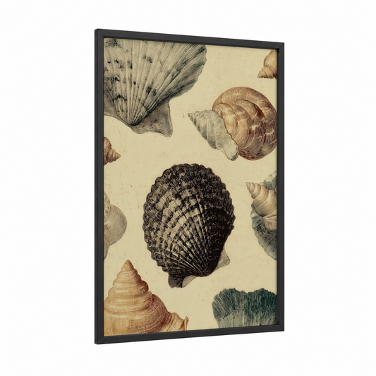 Vintage Seashell Study framed art print — black wood frame — cream and brown palette