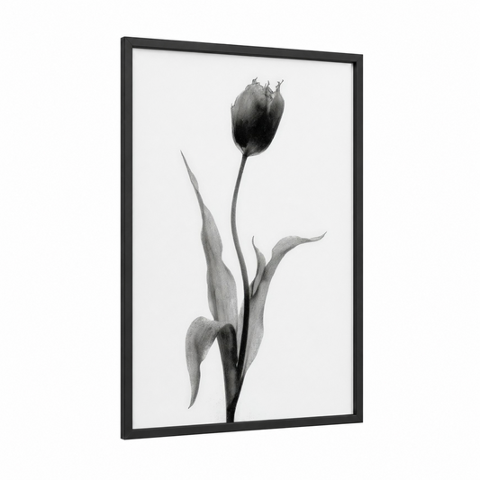 Ebony Tulip framed art print — black wood frame — black and white and gray palette