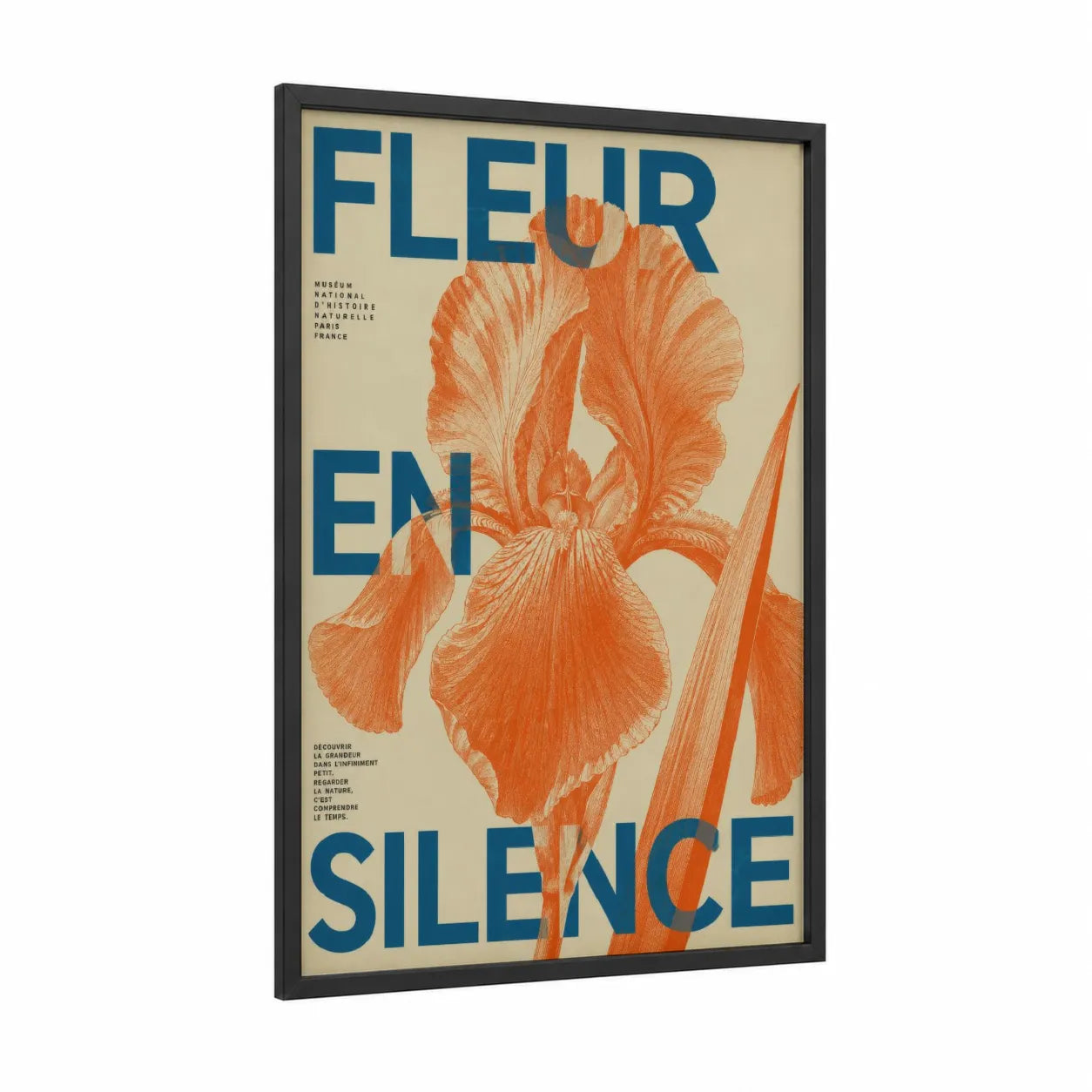 Vintage Iris Botanical Museum Wall Art framed art print — black wood frame — orange and blue palette