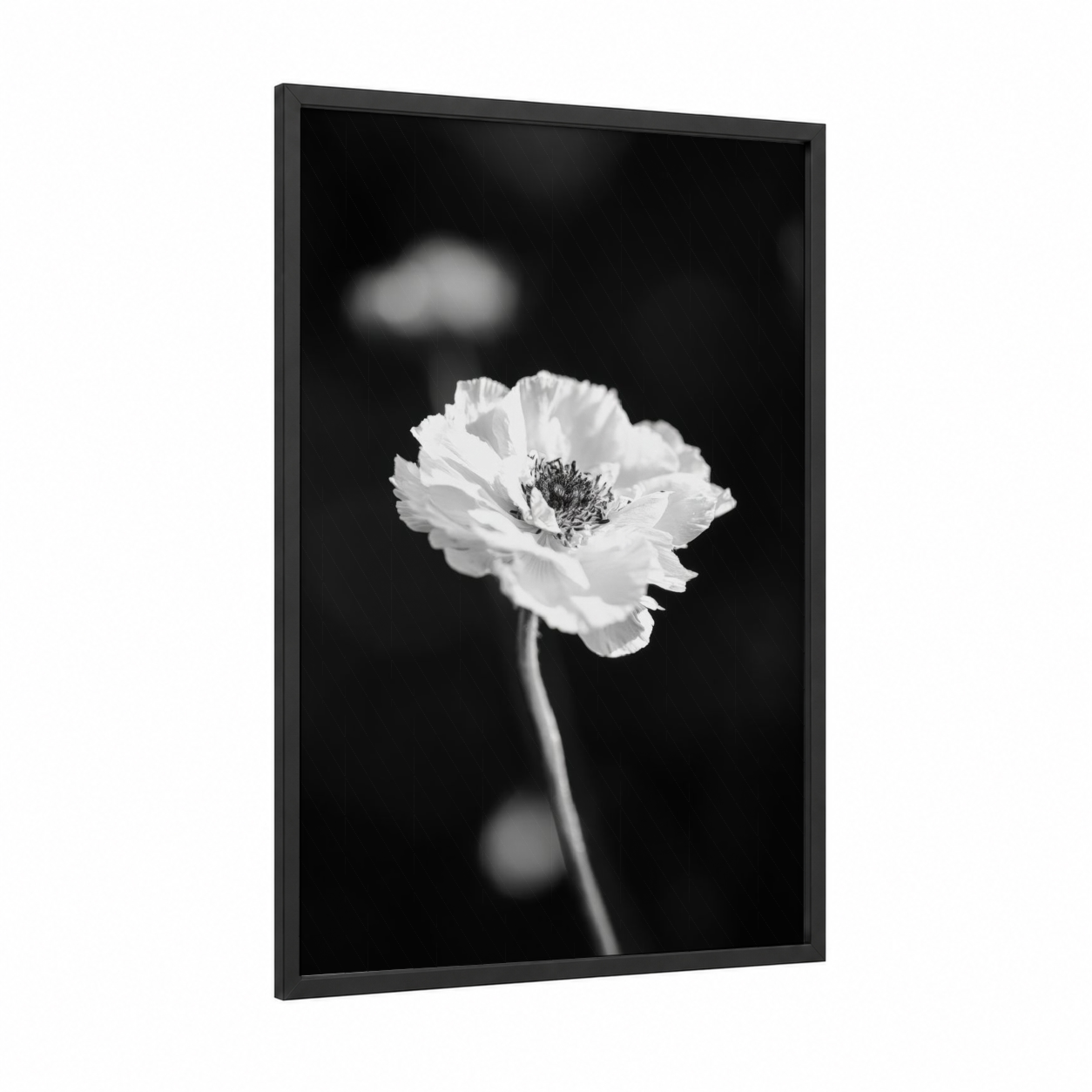 Monochrome Anemone framed abstract flower print — black wood frame — black and white palette