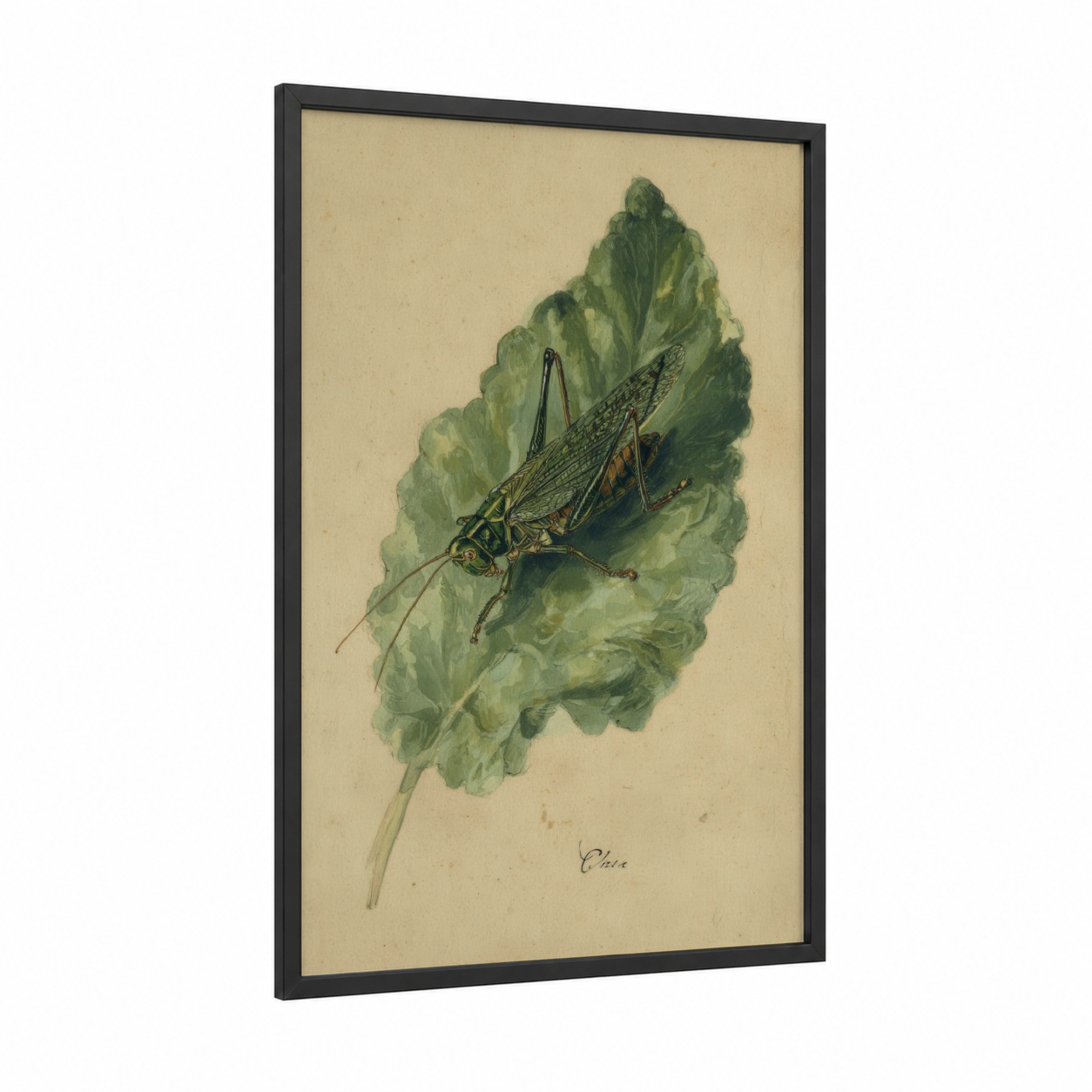 Garden Grasshopper framed art print — black wood frame — light green and cream palette