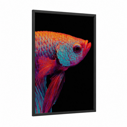 Neon Betta Fish framed art print — black wood frame — magenta and teal palette