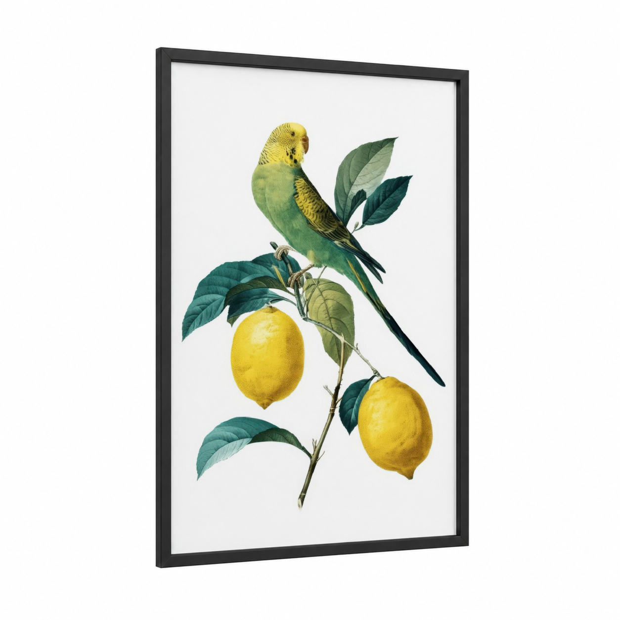 Yellow Budgerigar framed budgeridar print — black wood frame — yellow gold and true green palette