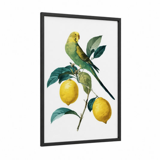 Yellow Budgerigar framed budgeridar print — black wood frame — yellow gold and true green palette