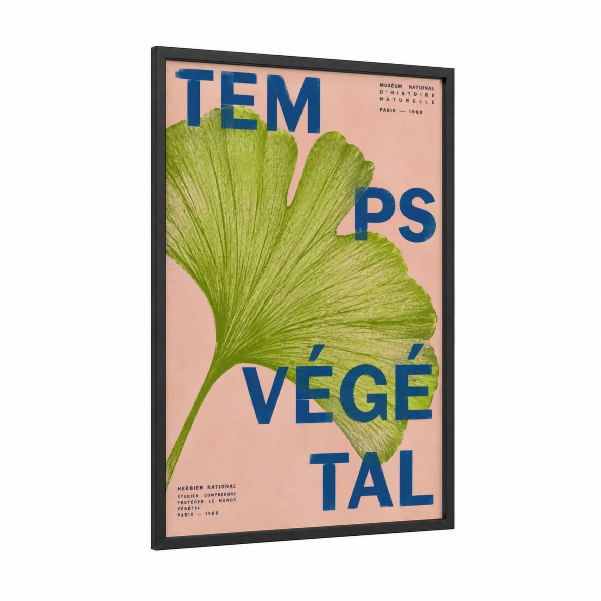 Ginkgo Leaf Vintage Botanical Wall Art framed art print — black wood frame — light green and peach palette