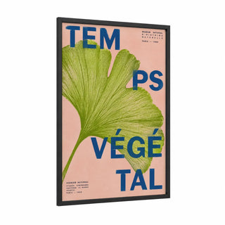 Ginkgo Leaf Vintage Botanical Wall Art framed art print — black wood frame — light green and peach palette