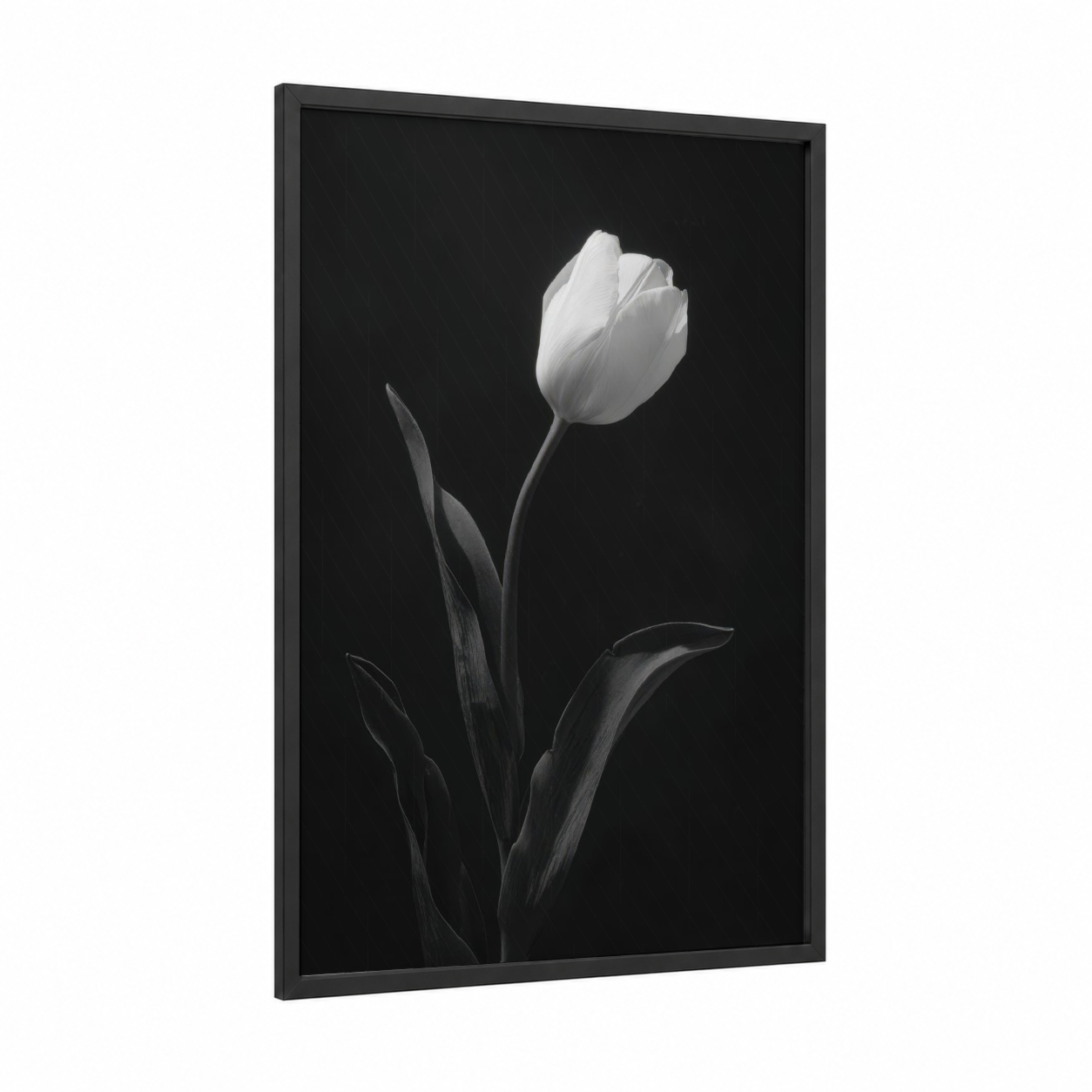 Elegant White Tulip framed art print — black wood frame — black and white and gray palette