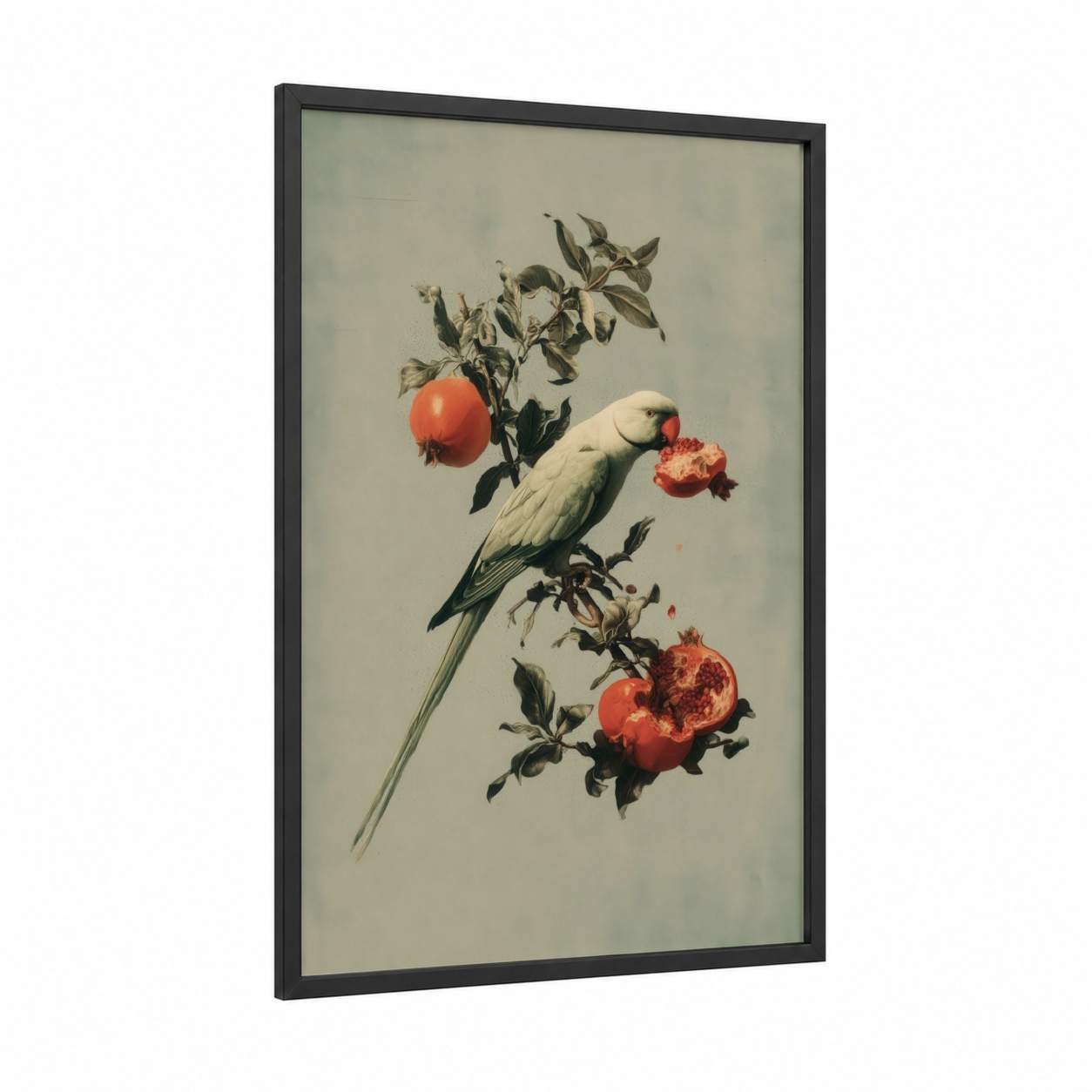 Pomegranate Parrot framed safari parrots print — black wood frame — cream and red palette