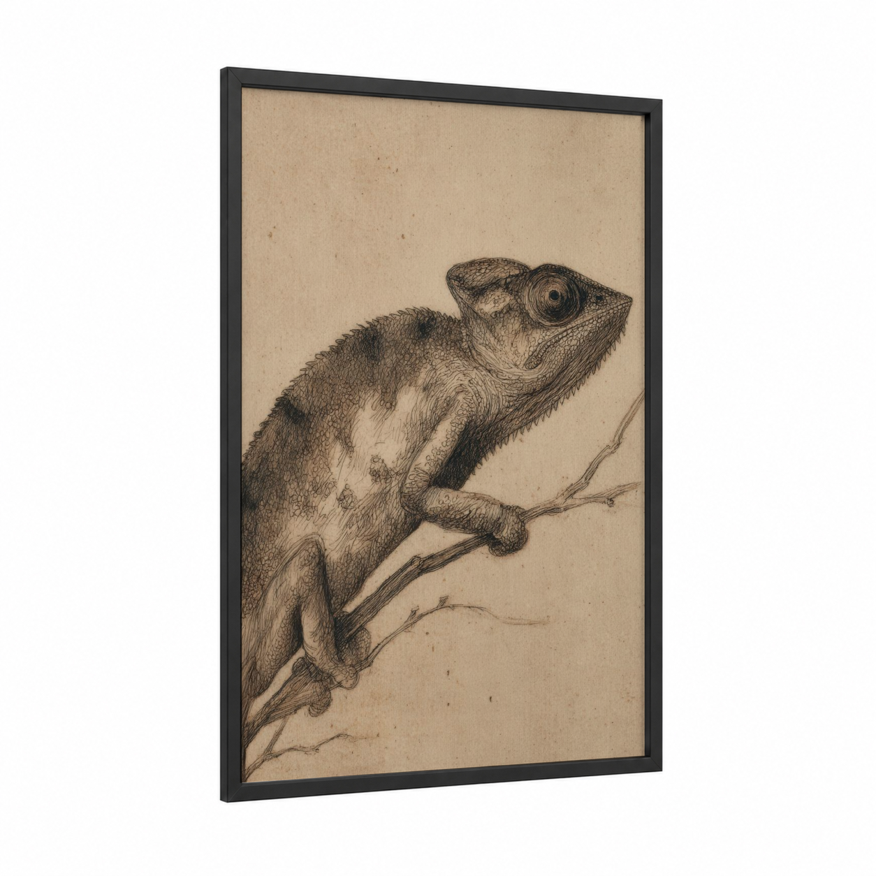 Perched Chameleon framed art print — black wood frame — black and beige palette